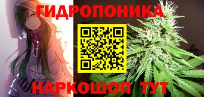 прущие грибы Кунгур