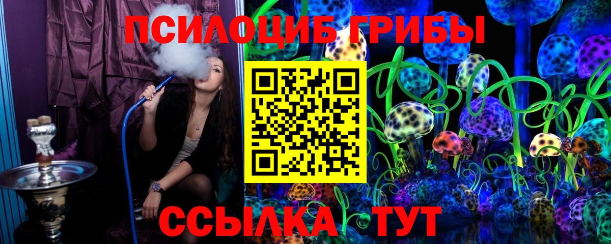 где найти наркотики  Псилоцибиновые грибы мицелий  Вход с VPN  Ивантеевка 